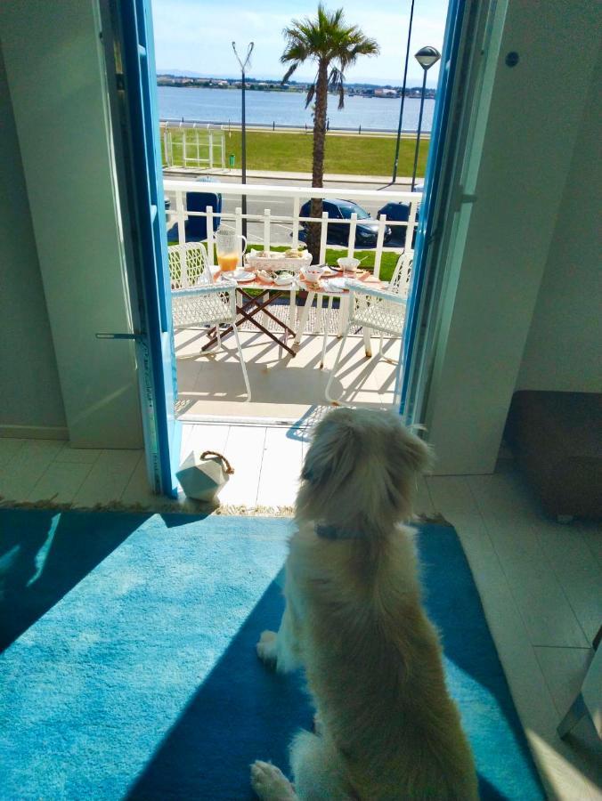 M Costa Nova Βίλα Εξωτερικό φωτογραφία